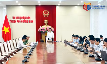 Tập trung hoàn thành cơ sở dữ liệu đất đai