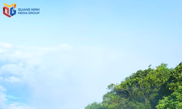 Rộn ràng Giải trekking chinh phục "Nóc nhà Quảng Ninh"mùa mây phủ