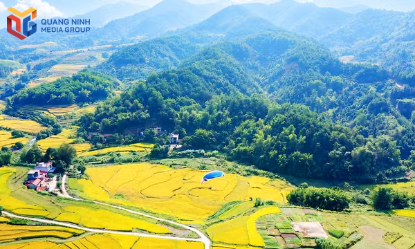 Hội Mùa vàng Lục Hồn 2026 dự kiến khai mạc ngày 24/10