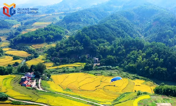 Sắc vàng ruộng bậc thang tô điểm cảnh sắc Lục Hồn những ngày thu.