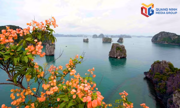 Nối dài những hành trình di sản