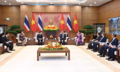 Quang cảnh hội đàm giữa Tổng Bí thư, Chủ tịch nước Tô Lâm và Nhà vua Thái Lan Maha Vajiralongkorn Phra Vajiraklaochaoyuhua, tại Hà Nội, ngày 15/9/2026. (Ảnh: ĐĂNG KHOA)