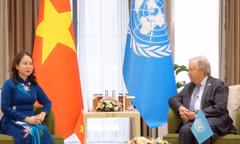 Phó Chủ tịch nước Võ Thị Ánh Xuân gặp Tổng Thư ký Liên hợp quốc António Guterres. (Ảnh: TTXVN)