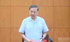 Tăng cường sự lãnh đạo của Đảng đối với công tác giải quyết các vụ án dân sự, hành chính