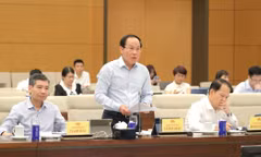 Phó Thủ tướng Lê Tiến Châu phát biểu tại phiên họp của Ủy ban Thường vụ Quốc hội chiều 21/9. (Ảnh: DUY LINH)
