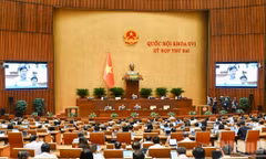Quốc hội thảo luận ở hội trường ngày 30/10/2026. (Ảnh: DUY LINH)