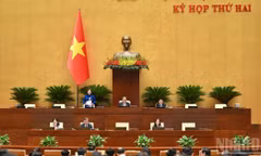 Quốc hội họp phiên toàn thể tại hội trường. (Ảnh: DUY LINH)