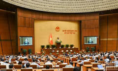 Quang cảnh phiên họp toàn thể ở hội trường ngày 20/10. (Ảnh: DUY LINH)