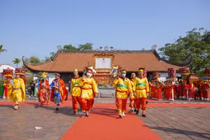 Ảnh 11