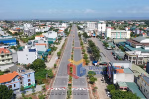 Ảnh 8