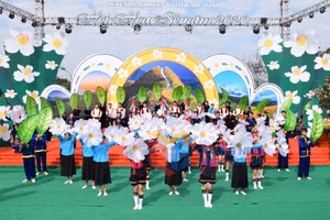 Ảnh 7