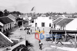 Ảnh 7