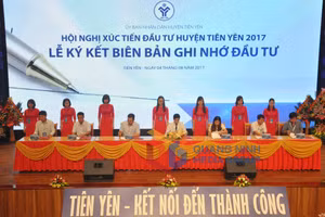 Ảnh 1