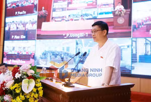 Ảnh 5