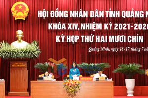 Ảnh 4