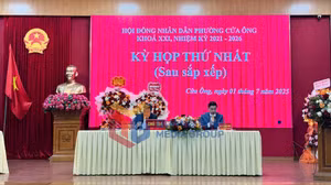 Ảnh 1