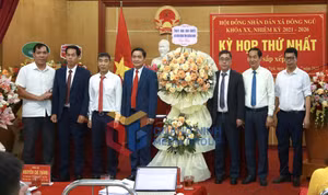 Ảnh 1