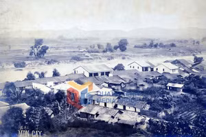 Ảnh 9