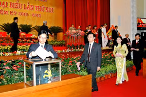 Ảnh 15