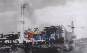 Ảnh 7