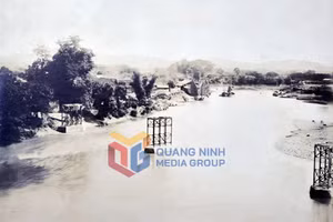 Ảnh 10