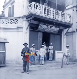 Ảnh 5
