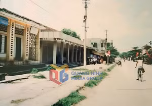 Ảnh 8