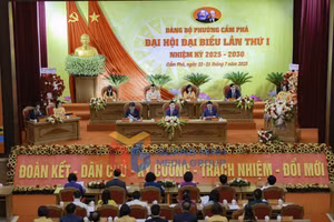 Ảnh 1