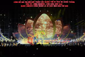 Ảnh 10