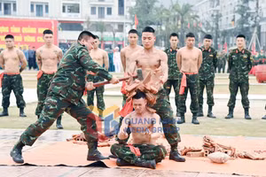 Ảnh 11