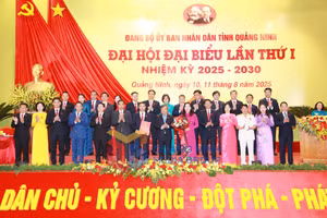 Ảnh 5