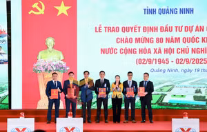 Ảnh 11