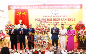 Ảnh 1