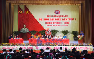Ảnh 1