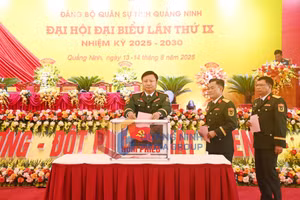 Ảnh 4