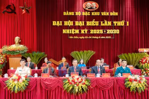 Ảnh 1