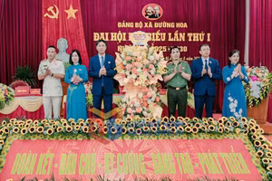 Ảnh 1