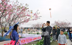 Ảnh 10