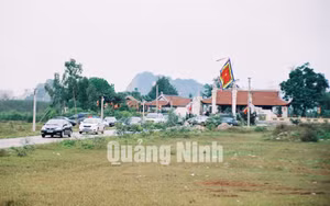 Ảnh 79