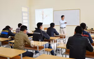 Ảnh 11