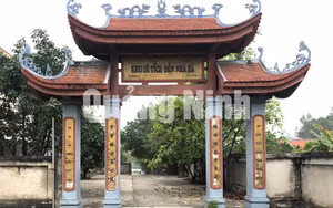 Ảnh 1