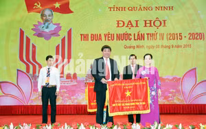 Ảnh 16