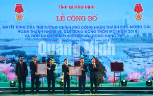 Ảnh 3