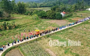 Ảnh 7