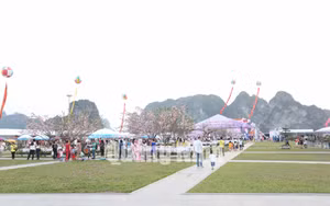 Ảnh 12