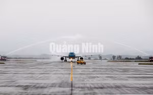 Ảnh 24