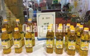 Ảnh 6