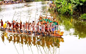 Ảnh 11