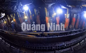 Ảnh 6