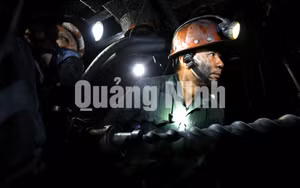 Ảnh 3